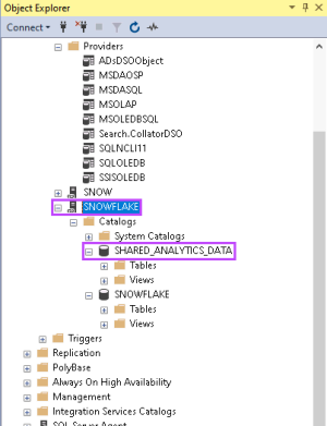 Object Explorer showing server and Shared_Analytics_Data location. In this example under Providers, Snowflake, Catalogs.