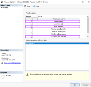 Dialog for the Provider optiosn with Nested Queries, Allow in process and Support Like Operator checked.